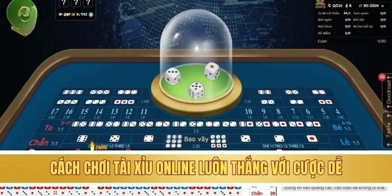 Cách chơi tài xỉu online luôn thắng với cược dễ