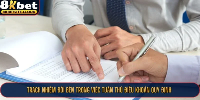 Trách nhiệm đôi bên trong việc tuân thủ điều khoản quy định