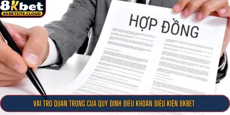 Vai trò quan trọng của quy định điều khoản điều kiện 8KBET